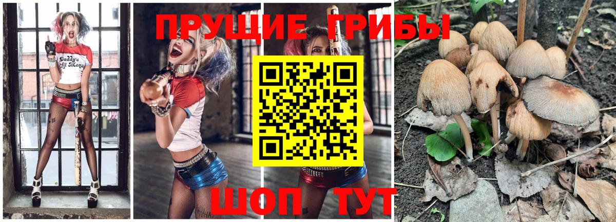 Галлюциногенные грибы ЛСД  Вход с VPN  Валуйки 