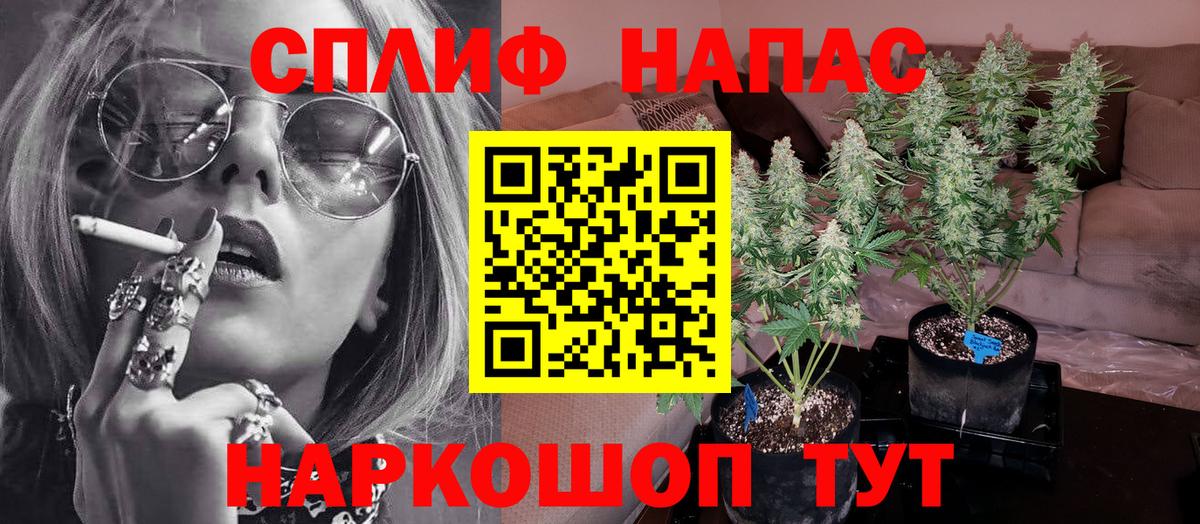 Бошки марихуана конопля Валуйки
